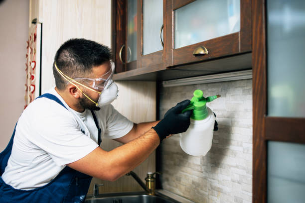 Best Affordable Pest Control Services  in Belmont Estates, VA
