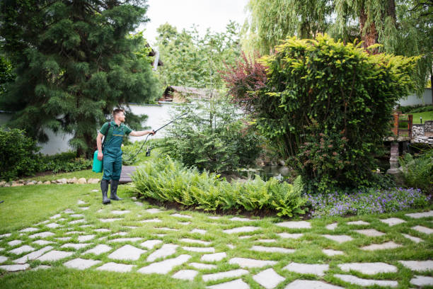 Best Residential Pest Control  in Belmont Estates, VA