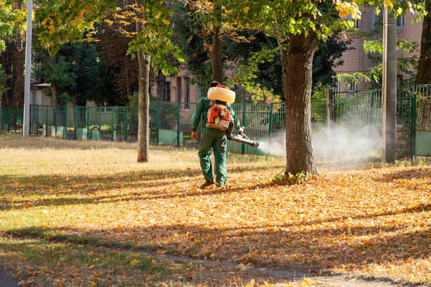 Best Pest Inspection Near Me  in Belmont Estates, VA