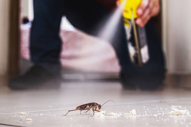 Best Pest Removal Services  in Belmont Estates, VA